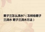君子蘭怎么澆水?（怎樣給君子蘭澆水 君子蘭澆水方法）