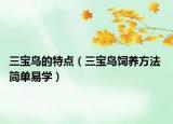 三寶鳥的特點(diǎn)（三寶鳥飼養(yǎng)方法 簡單易學(xué)）