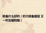 鯰魚什么好釣（釣大鯰魚絕招 又一釣友福利哦）