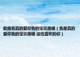 歌曲我真的愛(ài)你我的寶貝原唱（我是真的愛(ài)你我的寶貝原唱 送給喜歡的你）