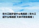 宋大江趙夢(mèng)是什么電視?。ㄋ未蠼鞘裁措娨晞?大家不妨去看看）