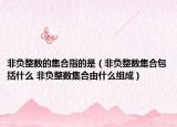 非負(fù)整數(shù)的集合指的是（非負(fù)整數(shù)集合包括什么 非負(fù)整數(shù)集合由什么組成）