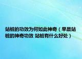 站樁的功效為何如此神奇（早晨站樁的神奇功效 站樁有什么好處）