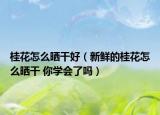 桂花怎么曬干好（新鮮的桂花怎么曬干 你學(xué)會(huì)了嗎）