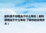 副科級干部相當于什么軍銜（副科級相當于什么軍銜 了解你的官有多大）