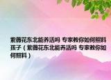 紫薇花東北能養(yǎng)活嗎 專家教你如何照料孩子（紫薇花東北能養(yǎng)活嗎 專家教你如何照料）