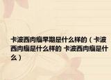 卡波西肉瘤早期是什么樣的（卡波西肉瘤是什么樣的 卡波西肉瘤是什么）