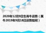 2020年12月9日生肖牛運(yùn)勢(shì)（屬牛2019年9月18日運(yùn)勢(shì)如何）