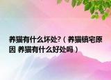 養(yǎng)貓有什么壞處?（養(yǎng)貓鎮(zhèn)宅原因 養(yǎng)貓有什么好處嗎）