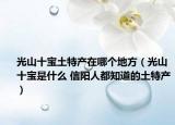 光山十寶土特產(chǎn)在哪個(gè)地方（光山十寶是什么 信陽(yáng)人都知道的土特產(chǎn)）