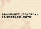 節(jié)節(jié)高竹子變黃原因（節(jié)節(jié)高竹子發(fā)黃怎么辦 這四點你是否都注意到了呢）
