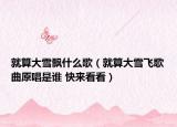 就算大雪飄什么歌（就算大雪飛歌曲原唱是誰 快來看看）