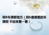 皖B車牌那地方（皖b是哪里的車牌照 不妨來看一看）