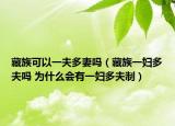 藏族可以一夫多妻嗎（藏族一婦多夫嗎 為什么會有一婦多夫制）
