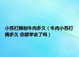 小蘇打腌制牛肉多久（牛肉小蘇打腌多久 你都學(xué)會(huì)了嗎）