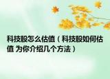 科技股怎么估值（科技股如何估值 為你介紹幾個(gè)方法）