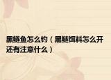 黑鰱魚怎么釣（黑鰱餌料怎么開 還有注意什么）