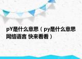 pY是什么意思（py是什么意思網絡語言 快來看看）