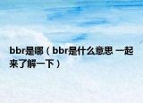 bbr是哪（bbr是什么意思 一起來(lái)了解一下）