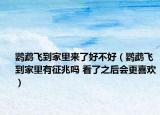 鸚鵡飛到家里來了好不好（鸚鵡飛到家里有征兆嗎 看了之后會更喜歡）