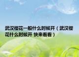 武漢櫻花一般什么時候開（武漢櫻花什么時候開 快來看看）