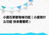 小度在家都有啥功能（小度有什么功能 快來(lái)看看吧）