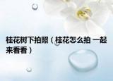 桂花樹(shù)下拍照（桂花怎么拍 一起來(lái)看看）