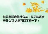 長花盆適合養(yǎng)什么花（長花盆適合養(yǎng)什么花 大家可以了解一下）