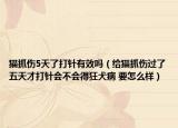 貓抓傷5天了打針有效嗎（給貓抓傷過了五天才打針會不會得狂犬病 要怎么樣）