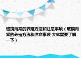 玻璃海棠的養(yǎng)殖方法和注意事項（玻璃海棠的養(yǎng)殖方法和注意事項 大家需要了解一下）