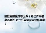 隔壁養(yǎng)貓很臭怎么辦（鄰居養(yǎng)貓很臭怎么辦 為什么養(yǎng)貓家里會(huì)那么臭）