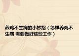 養(yǎng)雞不生病的小妙招（怎樣養(yǎng)雞不生病 需要做好這些工作）