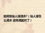 如何給仙人球澆水?（仙人球怎么澆水 這樣澆就對(duì)了）