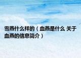 雪燕什么樣的（血燕是什么 關(guān)于血燕的信息簡(jiǎn)介）