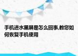 手機進(jìn)水黑屏是怎么回事,教您如何恢復(fù)手機使用