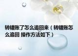 轉(zhuǎn)錯(cuò)賬了怎么追回來(lái)（轉(zhuǎn)錯(cuò)賬怎么追回 操作方法如下）