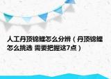 人工丹頂錦鯉怎么分辨（丹頂錦鯉怎么挑選 需要把握這7點）