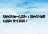 紫色花有什么品種（紫色花有哪些品種 快來看看）