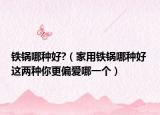 鐵鍋哪種好?（家用鐵鍋哪種好 這兩種你更偏愛哪一個）