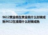 9612黃金桃在黃金桃什么時候成熟9612在淮南什么時候成熟