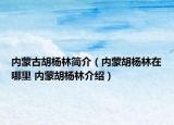 內(nèi)蒙古胡楊林簡(jiǎn)介（內(nèi)蒙胡楊林在哪里 內(nèi)蒙胡楊林介紹）