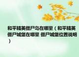 和平精英僵尸島在哪里（和平精英僵尸城堡在哪里 僵尸城堡位置說明）