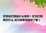 夢到在打狗是什么意思（夢見打狗預(yù)示什么 這幾種意思提供了解）