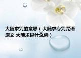 大隨求咒的意思（大隨求心咒咒語原文 大隨求是什么佛）