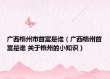 廣西梧州市首富是誰（廣西梧州首富是誰 關(guān)于梧州的小知識）