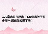 120毫米是幾厘米（120毫米等于多少厘米 現在你知道了嗎）