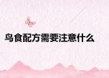 鳥食配方需要注意什么