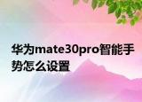 華為mate30pro智能手勢怎么設(shè)置