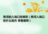 黃河的入?？谠谀睦铮S河入海口在什么地方 來(lái)看看吧）