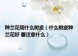 種蘭花用什么樹皮（什么樹皮種蘭花好 要注意什么）